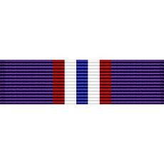 Colorado National Guard Adjutant General's Outstanding Unit Award